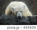 493600