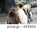 493602