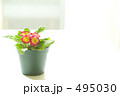 花鉢