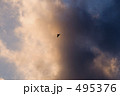 大空舞うトンビ