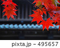 弘前城の紅葉