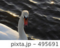 495691