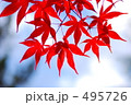 Bright red