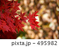 Japanease Red &amp; Gold