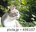 みつめる
