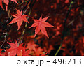 Vermilion Color