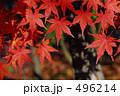 Vermilion Color