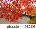 鎌倉　円覚寺の紅葉