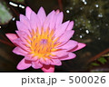 おやゆび姫出現５秒前。