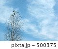 寒々しい空