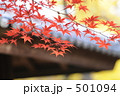 紅葉鮮やか