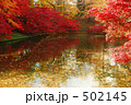 水面の紅葉