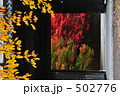 和の紅葉