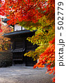 和の紅葉