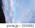 渡り鳥