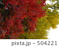 504221