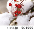 南天と雪