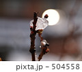 早春