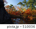 弘前城 石垣と紅葉
