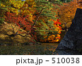 弘前城 石垣と紅葉
