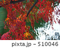 水と光と紅葉
