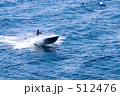 海を疾走する