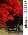 紅葉と石段