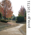 公園の遊歩道