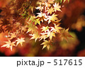 昇仙峡の紅葉