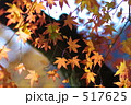 昇仙峡の紅葉