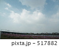 豊橋の空とコスモス 豊橋の空とコスモス