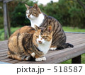 518587