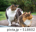 518602