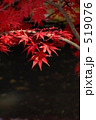 清流の紅葉