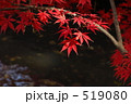 清流の紅葉