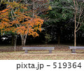 公園の秋