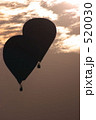 素材ナンバー 520030 : 「夕焼け空を飛ぶ」