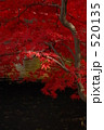 水辺の紅葉