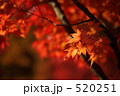 日本の秋