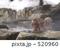 淵につかまって入浴する子猿
