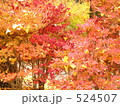 小木の紅葉