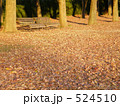 夕方の公園