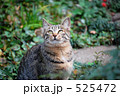 みあげる