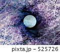 夜桜幻影 Ⅱ