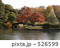六義園の紅葉