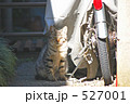 まぶしい