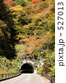 紅葉のトンネル　昇仙峡
