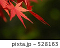 季節の変わり目