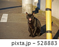 あくび