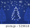 もみの木